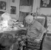 A tea for Pablo Picasso after lunch. La Californie, Cannes 1956. - Photo by Edward Quinn