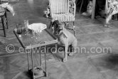 Pablo Picasso's boxer dog Jan. La Californie, Cannes 1956. - Photo by Edward Quinn