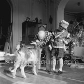 Pablo Picasso with Paloma Picasso. Paloma Picasso is wearing the Davy Crockett outfit she received as a Christmas present. With goat Esmeralda. La Californie, Cannes 1956. - Photo by Edward Quinn