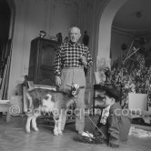 Pablo Picasso with Claude Picasso dressed up as a clown. With goat Esmeralda. La Californie, Cannes 1956. - Photo by Edward Quinn