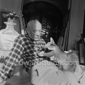 Pablo Picasso with the goat Esmeralda at Christmas 1956. She was a Christmas present from Jacqueline. La Californie, Cannes 1956. - Photo by Edward Quinn