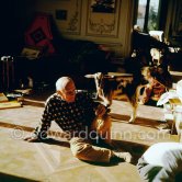 Pablo Picasso with the goat Esmeralda at Christmas 1956. She was a Christmas present from Jacqueline. Paloma Picasso in the background. La Californie, Cannes 1956. - Photo by Edward Quinn