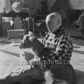 Pablo Picasso at Christmas with Esmeralda, the goat he received from Jacqueline. In the background "Femme à la clé". La Californie, Cannes 1956. - Photo by Edward Quinn