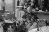 Pablo Picasso with the goat Esmeralda at Christmas 1956. She was a Christmas present from Jacqueline. La Californie, Cannes 1956. - Photo by Edward Quinn