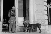 Picasso at Christmas with Esmeralda, the goat he received from Jacqueline, and boxer Jan. La Californie, Cannes 1956. - Photo by Edward Quinn