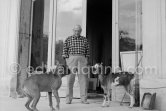 Pablo Picasso at Christmas with Esmeralda and boxer dog Jan. La Californie, Cannes 1956. - Photo by Edward Quinn
