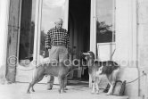Pablo Picasso at Christmas with Esmeralda and boxer dog Jan. La Californie, Cannes 1956. - Photo by Edward Quinn