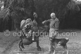 Pablo Picasso and Paloma Picasso at Christmas with Esmeralda, the goat he received from Jacqueline. Paloma Picasso is wearing the Davy Crockett trapper outfit she received as a Christmas present. La Californie, Cannes 1956. - Photo by Edward Quinn
