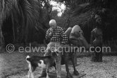 Pablo Picasso at Christmas with Esmeralda, the goat he received from Jacqueline. Sculptures in the garden of La Californie, Cannes 1956. - Photo by Edward Quinn