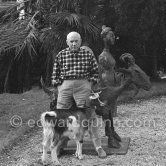 Pablo Picasso with the goat Esmeralda at Christmas 1956. She was a Christmas present from Jacqueline. Sculptures in the garden of La Californie, Cannes 1956. - Photo by Edward Quinn