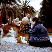 Pablo Picasso and Jacqueline at Christmas with Esmeralda, the goat he received from Jacqueline. Sculptures in the garden of La Californie, Cannes 1956. - Photo by Edward Quinn