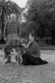 Pablo Picasso and Jacqueline at Christmas with Esmeralda, the goat he received from Jacqueline. In the garden of La Californie, Cannes 1956. - Photo by Edward Quinn