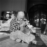 Pablo Picasso with the goat Esmeralda at Christmas 1956. She was a Christmas present from Jacqueline. La Californie, Cannes 1956. - Photo by Edward Quinn