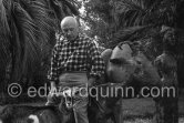 Picasso at Christmas with Esmeralda, the goat he received from Jacqueline. Sculpture in the garden of La Californie, Cannes 1956. - Photo by Edward Quinn