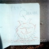 "Faune" or "Portrait d'un homme" (dedicated: pour Quinn)", La Californie, Cannes 1956. - Photo by Edward Quinn