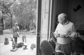 Pablo Picasso with sculptures in garden. La Californie, Cannes 1958. - Photo by Edward Quinn