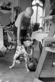Picasso and his Dalmatian dog Perro. Behind Picasso: Draft for "Tête de taureau", WS:545 ?. Cannes, Villa La Californie 1959. - Photo by Edward Quinn