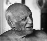 Pablo Picasso. Ripolin can. La Californie 1961. - Photo by Edward Quinn