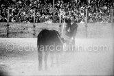 Bullfight put on in Pablo Picasso's honor (80th birthday). Luis Miguel Dominguin. The bullfighters Dominguin and Domingo Ortega killed a bull but this was forbidden in France. Pablo Picasso paid the fine of 5000 Francs. Vallauris 29.10.1961. - Photo by Edward Quinn