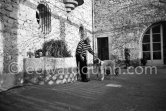 Pablo Picasso and his dogs Kaboul and Lump on the terrace in front of the entrance to Mas Notre-Dame-de-Vie, Mougins 1962. - Photo by Edward Quinn