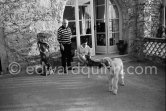Pablo Picasso and Jacqueline with Afghan dog Kaboul and dachshund Lump on the terrace in front of the entrance to Mas Notre-Dame-de-Vie, Mougins 14.2.1962. - Photo by Edward Quinn