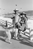 Picasso and Jacqueline with Afghan dog Kaboul. Cannes 1963. - Photo by Edward Quinn