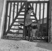 Fence guests. Gypsies on the occasion of the yearly pilgrimage and festival of the Gypsies in honor of Saint Sara, Arènes des Saintes-Maries-de-la-Mer in 1953. - Photo by Edward Quinn