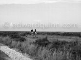 Camargue: Gardians. Saintes-Maries-de-la-Mer in 1953. - Photo by Edward Quinn