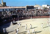 Camargue: "course camarguaise". This is a bloodless bullfight  in which the objective is to snatch a rosette from the head of a young bull. Arènes des Saintes-Maries-de-la-Mer in 1953. - Photo by Edward Quinn