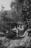 Graham Sutherland in the gardens of La Villa Blanche,  route de Castellar. Menton 1974 - Photo by Edward Quinn
