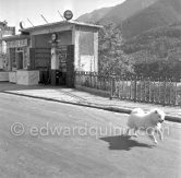 Gazoline Station Esso. Touet-sur-Var 1956. - Photo by Edward Quinn