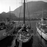 On the left yacht Narcissus, in the middle Favorita, on the right Deo Juvante II. Monaco harbor 1954. - Photo by Edward Quinn