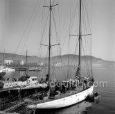 Yacht Ingeborg. Cannes, about 1953. - Photo by Edward Quinn
